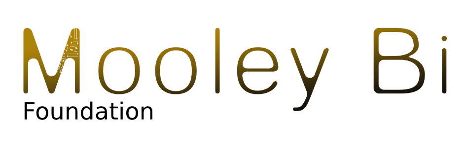 Mooley Bi Foundation